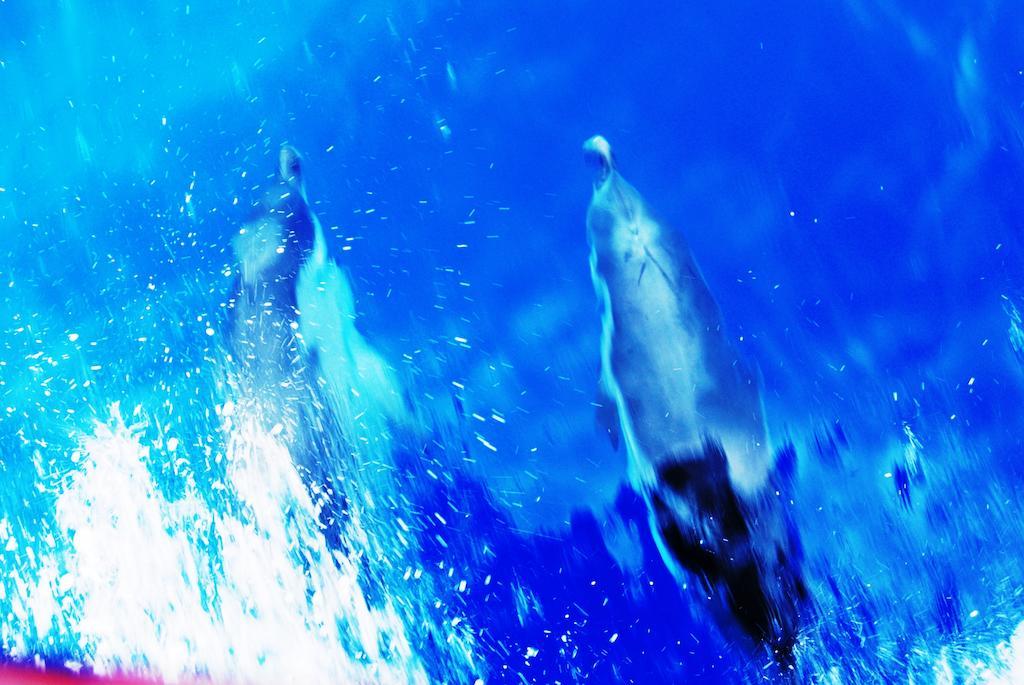 Sorrento Studios Lemons Hill ภายนอก รูปภาพ