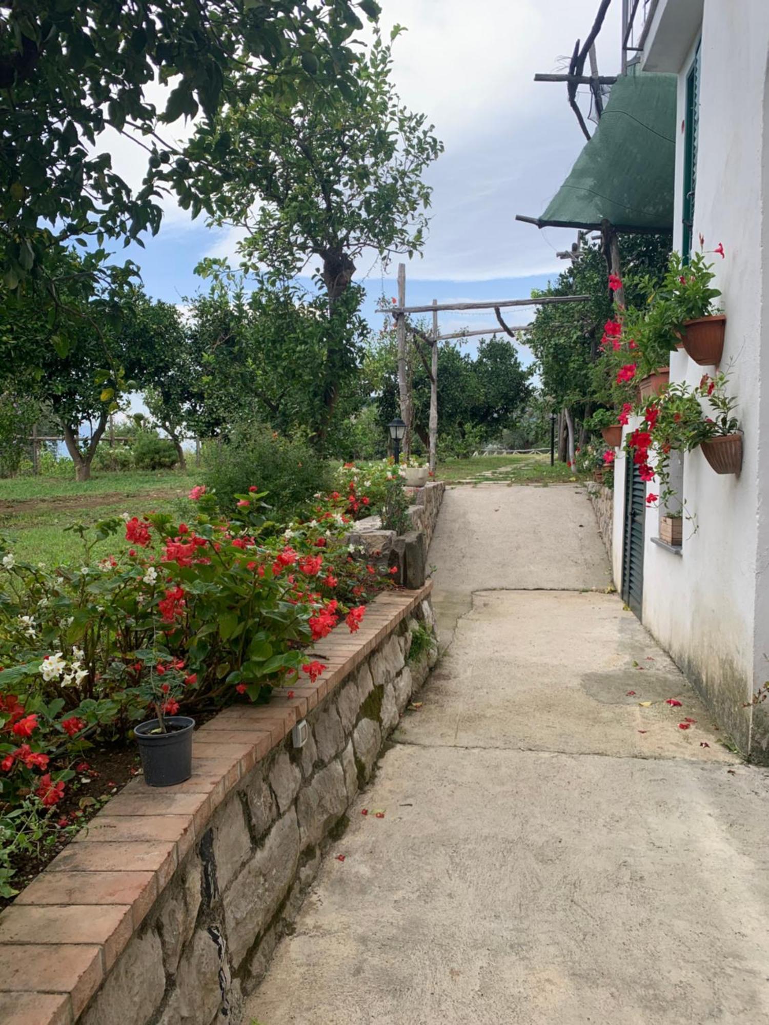 Sorrento Studios Lemons Hill ภายนอก รูปภาพ