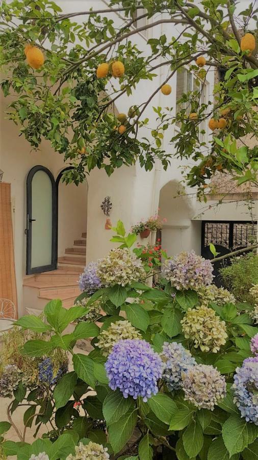 Sorrento Studios Lemons Hill ภายนอก รูปภาพ