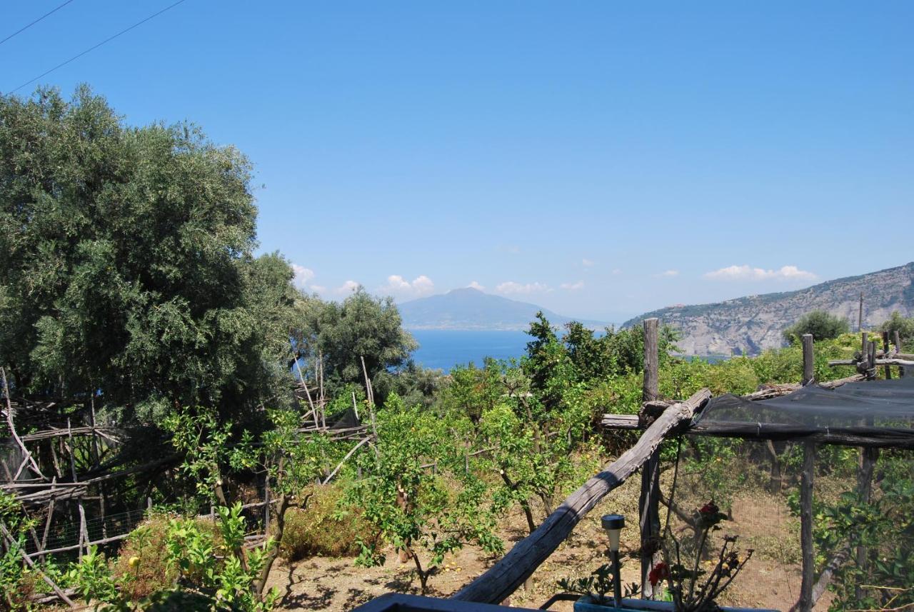 Sorrento Studios Lemons Hill ภายนอก รูปภาพ